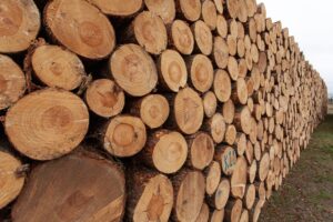 WOOD - Hardwood and Softwood Logs